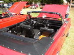 P1010147.JPG